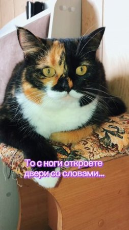 b0c077fb547b4a9a933fa28d9f02c422