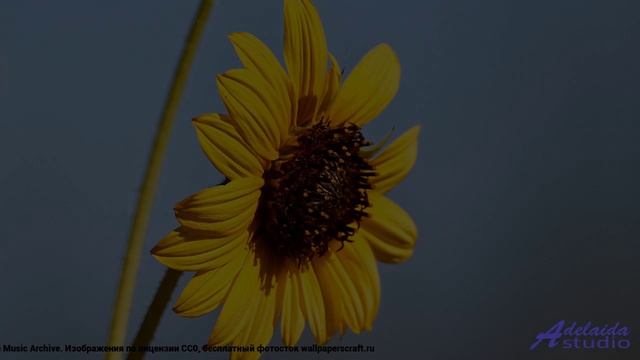 Лучшая композиция для кайфа  Emotional Abstract -- BlackTrendMusic -- Unnamed album