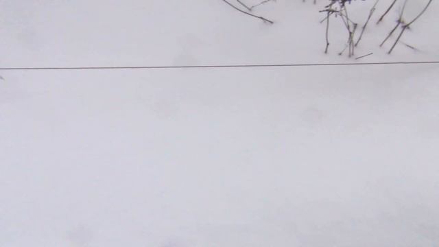 Как зимует виноград под "тряпочками" смотреть онлайн