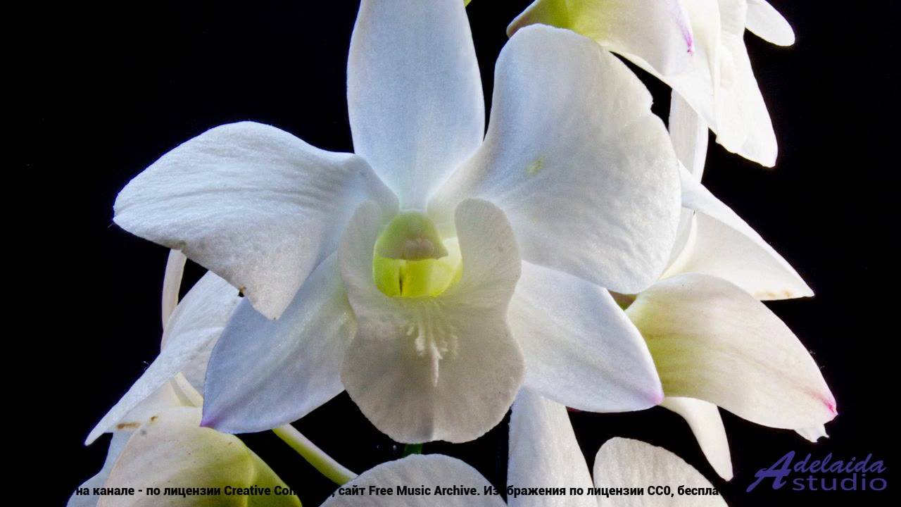 ✸ ♫ ❤ Умопомрачительная музыка для тонуса Energetic Morning (Underscore Mix) -- Audiorezout -- Unna смотреть онлайн