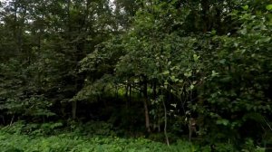 Автодом Что посмотреть и где отдохнуть в горах Башкортостана. Удивительная Башкирия рядом.