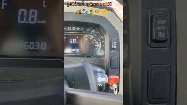 Ферма Кобрей Англия спаржа , сезонная работа #uk #англия #учусьтанцевать #танцыдляначинающих