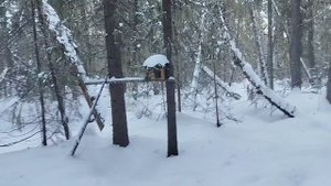 Проверка капканов в новом году...Закрытие сезона 24-25...