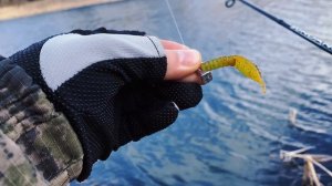Не самое удачное закрытие сезона 30.03.2025 🎣😄