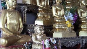 Таиланд 2010-11 часть1