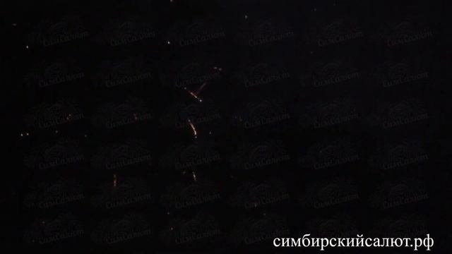 Профессиональный салют (2334) (69)