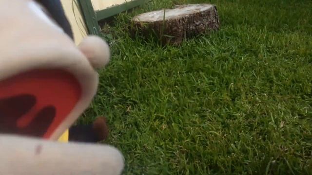 TBC MOVIE: The field trip part 3 смотреть онлайн