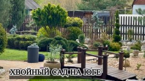 Хвойный сад на юге 30.03.2025