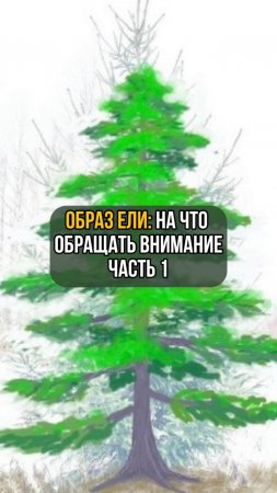 Образ ели: На что обращать внимание. Часть 1