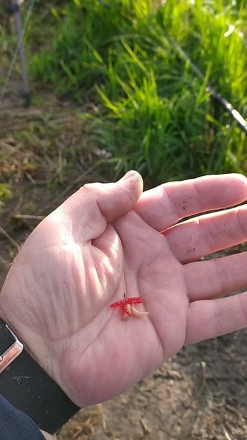 VID_20240721_061658 смотреть онлайн