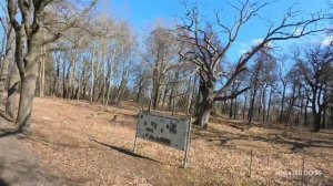 Лебяжье - Ораниенбаум - Петергоф - Петербург на велосипеде