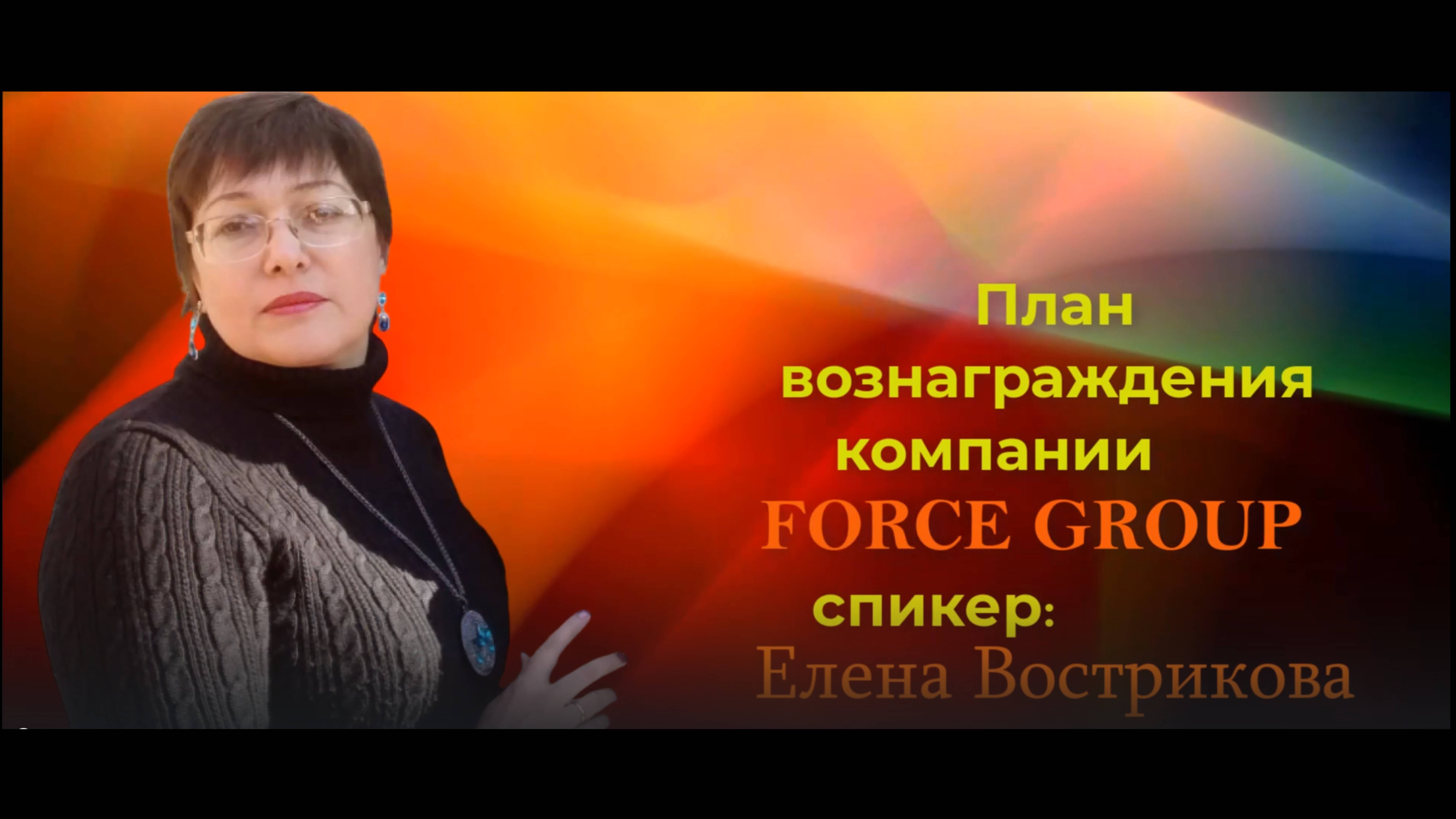 FORCE GROUP.План вознаграждения компании FORCE GROUP