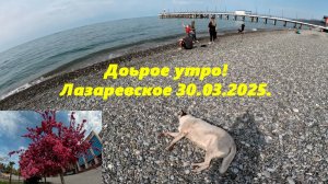 Теплое утро! Лазаревское 30.03.2025.  ЛАЗАРЕВСКОЕ СЕГОДНЯ, ЛАЗАРЕВСКОЕ СОЧИ,ЛАЗАРЕВСКОЕ 2025