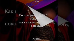 #Цитаты и афоризмы.