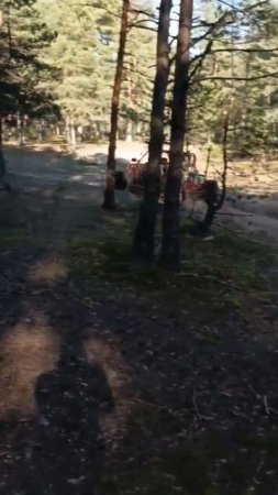 Песчаная колея в лесу