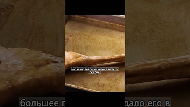 Новинка фильмов