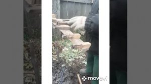 Приспособление для посадки чеснока