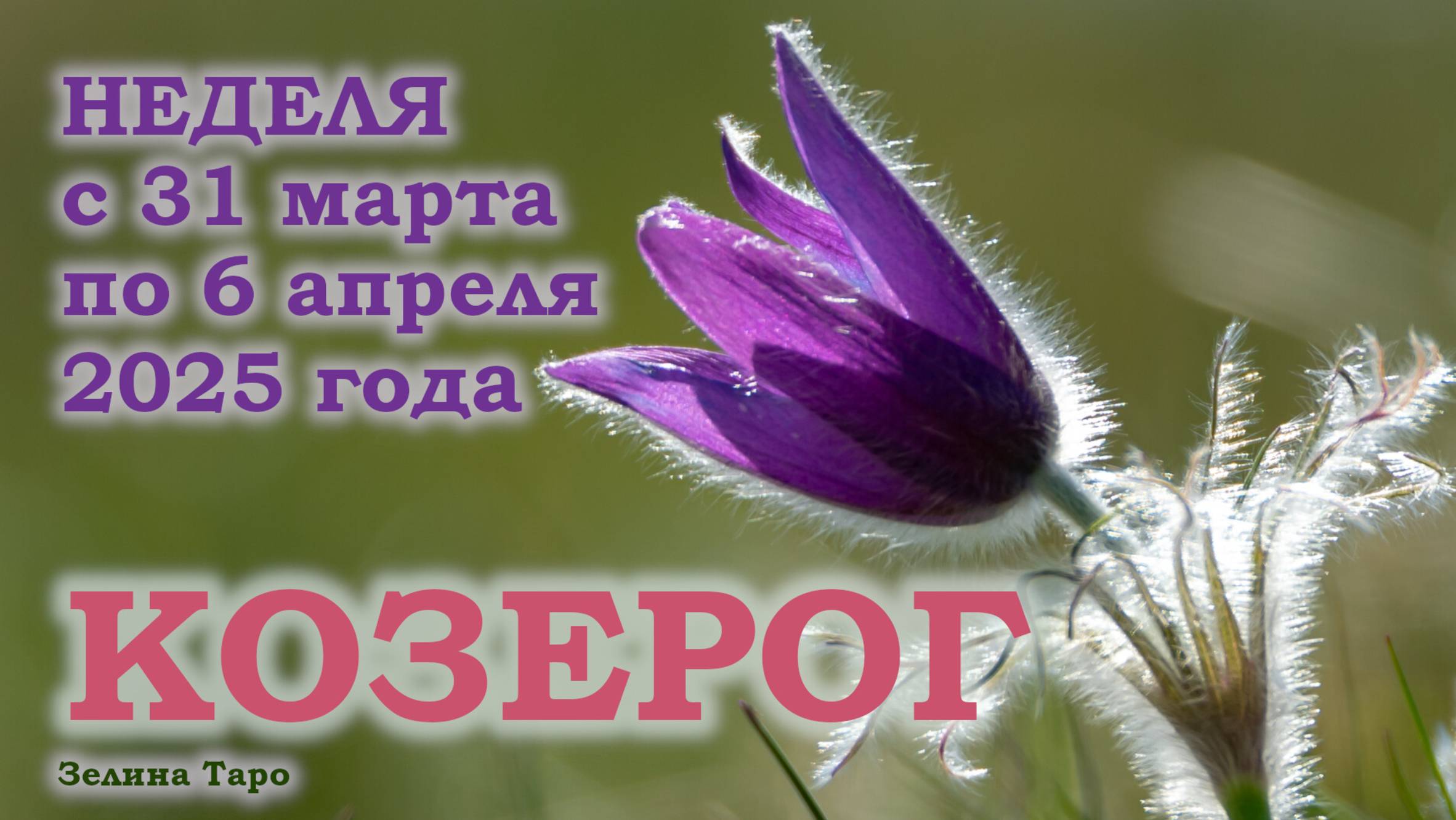 КОЗЕРОГ | ТАРО прогноз на неделю с 31 марта по 6 апреля 2025 года