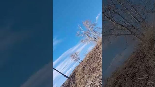 Разговоры