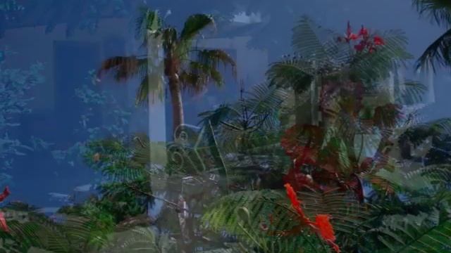 "Colores de Mexico" 2007 Atlantis Cruise (Fourth Movie) смотреть онлайн