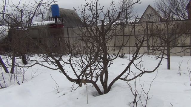 О весенней обрезке сада. Спешить ли с ней? смотреть онлайн