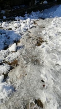 Снега и солнышка Вам в ленту!