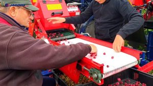 Целорядный прицепной ягодоуборочный комбайн OSKAR A01