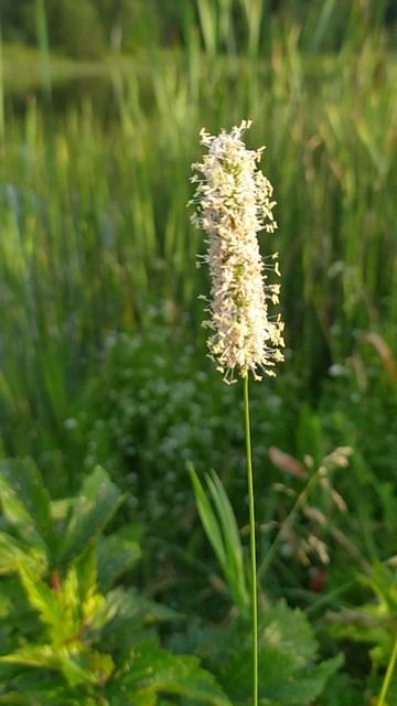 VID_20240629_060142 смотреть онлайн