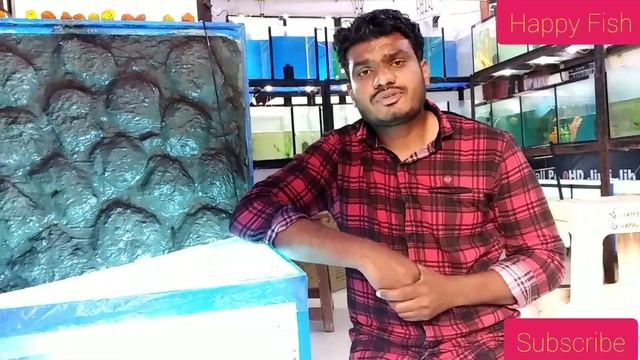 Dr. Fish 💅| All in detail | live demo | spa fish. 💅💅 смотреть онлайн