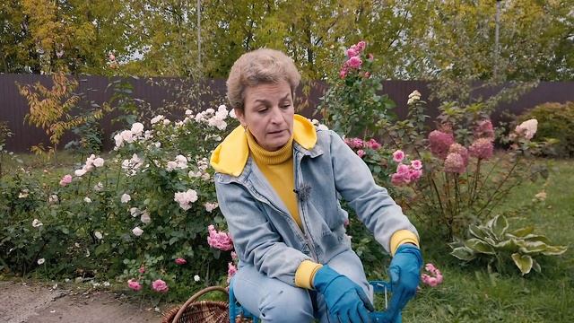 Луковичные цветы. Как правильно сажать и защитить от грызунов. Наталия Петренко.