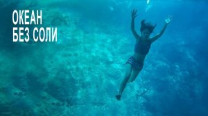 Что будет если ВСЯ морская вода станет пресной