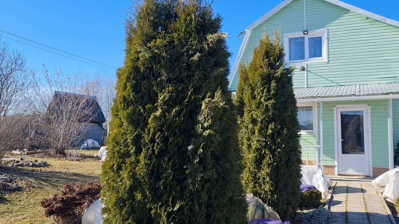 ДАЧА.🏡А ЧТО С РОЗАМИ НА 27.03.25.🌹КЛУМБА МИКСБОРДЕР ДО УБОРКИ. ЛЕНИНГРАДСКАЯ ОБЛАСТЬ, ЮГО-ЗАПАД.