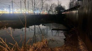 Девочка утонула в водоеме у частного дома на севере Москвы