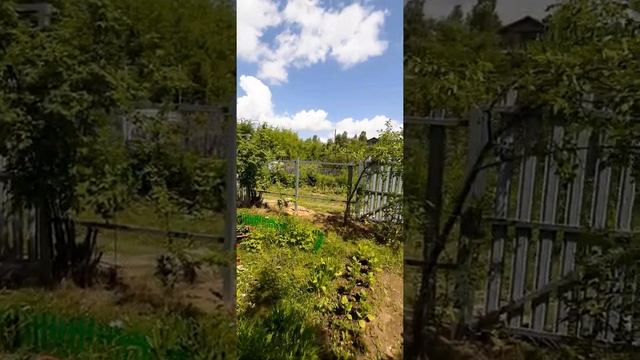 Установка штакетника смотреть онлайн