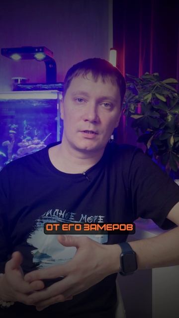 Полное видео на канале #морскойаквариум