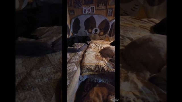 Наши уютные вечера