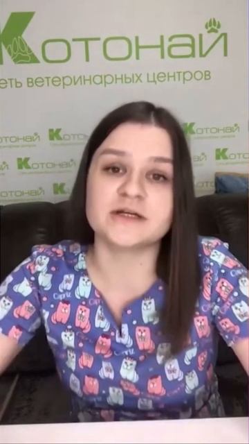 Акне у кошек смотреть онлайн