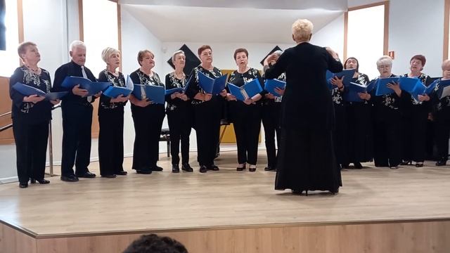 "Маки", хор " ЗОЛОТЫЕ ГОЛОСА" АРАД смотреть онлайн