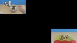 Познаватель sparta DrLaSp remix