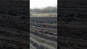 Сезон сельхоз работ открыт, борнуем луговины.