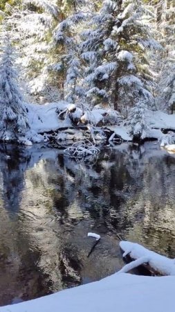 Как красиво на реке