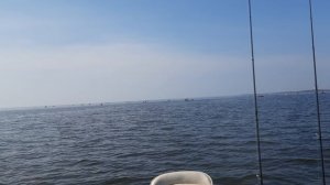 Поиск рыбы 2