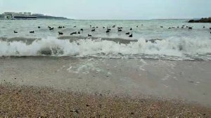 Морюшко