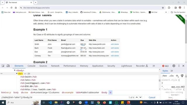 Java Selenium TestNG 17.Bölüm WebTables