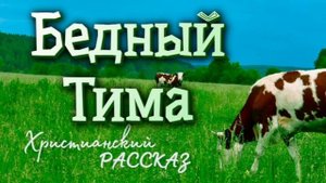 📗 "Бедный Тима" ~ РАССКАЗ Христианский для ДЕТЕЙ ~ 👧🟢 АУДИОРАССКАЗ