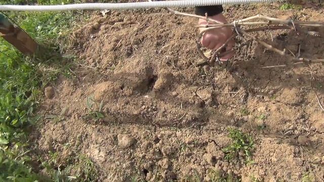 Технарики в Климовске. В гостях у Виктора смотреть онлайн