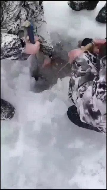 😳😲 🐟