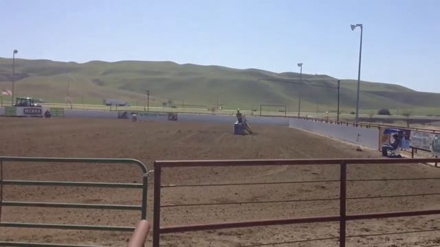 SPURR RANCH-A DASH OF SPARKLES (SPARKY) 3/15/14 смотреть онлайн