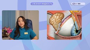 OphthalMONOgy: Слезный аппарат глаза.