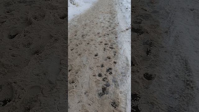 4 марта 2025 г., 10:21:40
ул. Полины Осипенко
VID_20250304_102012603